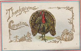 BE Nw1 -" THANKSGIVING GREETINGS " - DINDE , CITROUILLE , RAISIN - CARTE GAUFREE - DORURE - 2 SCANS - Giorno Del Ringraziamento