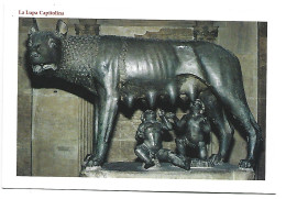 LA LUPA CAPITOLINA.-  ROMA - ( ITALIA ) - Musei