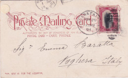 1901  USA Bella Cartolina Affrancata Con 2c Serie Esposiz. Di Bufalo  TRENO - Auto's