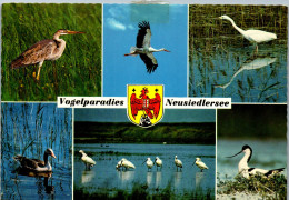 49661 - Burgenland - Neusiedlersee , Vogelparadies - Gelaufen 1971 - Neusiedlerseeorte