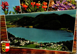 49458 - Kärnten - Klopeinersee , Im Jauntal - Gelaufen 1975 - Klopeinersee-Orte