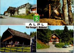 50377 - Steiermark - Krieglach , Alpl , Peter Rosegger's Waldheimat , Mehrbildkarte - Gelaufen  - Krieglach