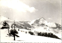 50590 - Steiermark - Donnersbach , Planneralm , Schoberspitze - Gelaufen 1966 - Donnersbach (Tal)