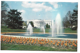 THE WHITE HOUSE AND GROUNDS.-  WASHINGTON D.C..-  ( USA ) - Autres & Non Classés