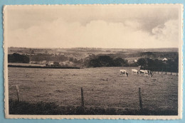 Ronquieres   Panorama - Braine-le-Comte