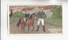 Actien Gesellschaft  Pferde Rassen Schottischer Pony      Serie  67 #3 Von 1900 - Stollwerck