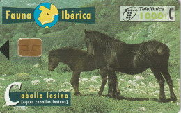 PHONE CARD SPAGNA FAUNA IBERICA (CZ1922 - Basisuitgaven