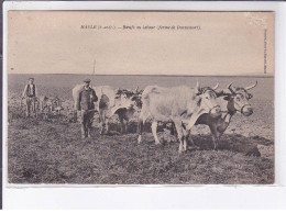 MAULE: Boeufs Au Labour (ferme De Pennemort) - état - Maule