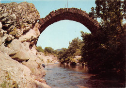 ENVIRONS DE ST JEAN DU GARD Le Pont Des Chevres A L Estrechure 7(scan Recto-verso) MA2122 - Saint-Jean-du-Gard