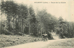 42* BELMONT  Route De La Buche                 MA93,0185 - Belmont De La Loire