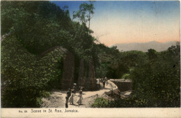 Jamaica - Scene In St. Ann - Jamaica