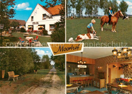 73828916 Moorhof Holstein Gasthaus Moorhof Ponyreiten Waldweg Gaststube Moorhof  - Groemitz