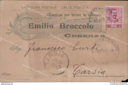 Ar578 Cartolina Commerciale Cosenza Emilio Broccolo 1902 - Cosenza