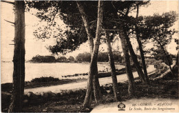 CORSE - AJACCIO - L'Anse Du Scudo -  Route Des Sanguinaires - Années 1920/1930 - Ajaccio