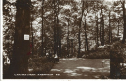 Angleterre - Carte Postale - Graves Park - Sheffield - Sheffield