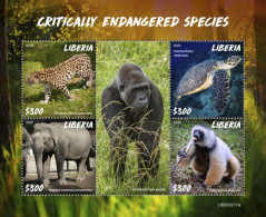 Liberia 2020, Animals In Danger, Turtle, Elephant, Leopard, Gorillas, BF - Gorilles