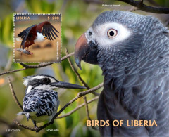 Liberia 2020, Animals, Birds, Eagle, Fish, Parrot, Kingfisher, BF - Albatros