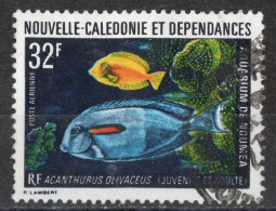 Nvelle CALEDONIE Timbre-Poste Aérienne N°145 Oblitéré Cote : 3€00 - Used Stamps