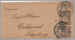 FRANCE To LUXEMBOURG 1890 Incoming Uprated 1c Wrapper To ECHTERNACH - P.P. Imprimé Postmark - Stamped Stationery