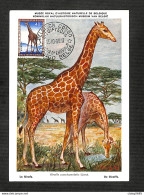 CONGO BELGE - BELGISCH CONGO - Carte MAXIMUM 1959 - La Girafe - Autres & Non Classés