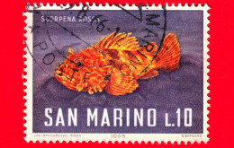SAN MARINO - Usato - 1966 - Fauna Marina - Pesci - Scorpena Rossa - 10 L. - Gebraucht
