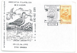 COV 995 - 3129 BIRD, Romania - Cover - Used - 1993 - Lettres & Documents