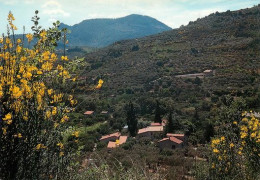 BUIS LES BARONNIES  Fontaine D'annibal Maison De Vacances  26   (scan Recto-verso)MA2273Ter - Buis-les-Baronnies