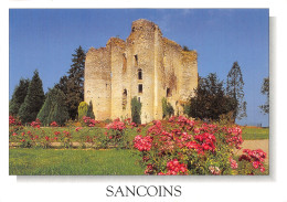 18-SANCOINS-N° 4446-B/0275 - Sancoins