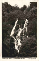 Todtnau - Wasserfall - Todtnau