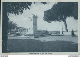 Ah709 Cartolina Vibo Valentia Ara Dei Caduti - Vibo Valentia