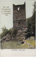 MEIRINGEN. Ruine Resti. 501 - Meiringen