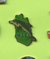 Rare Pins Dauphin Cndb Natation Cercle Des Nageurs Du Bocage Bressuirais Deux Sevres Fr357 - Natation