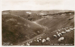 England Brighton Devils Dyke Sheep Flock - Brighton