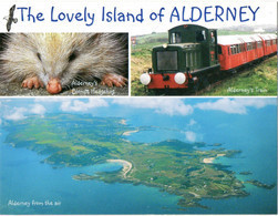 ALDERNEY-Aerial View Of Island + A Blond Hedgehog & Alderney's Train:-ile Aurigny, Vue Aerienne - Alderney