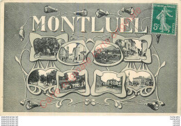 01.  MONTLUEL .  CP Multivues . - Montluel