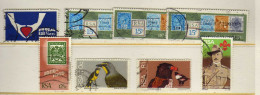 Afrique Du Sud - Faune  - Evenements - Scoutisme -  Obliteres - Used Stamps