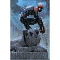 PANINI - MARVEL ITALIA - Amazing Spider-Man 41 - J. Romita Jr. - 2024 - Variant Cover - Spider Man