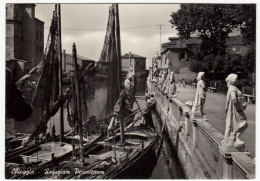 CHIOGGIA - REFUGIUM PECCATORUM - VENEZIA - 1956 - BARCHE - Chioggia