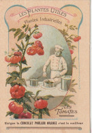 ZY 80- CHROMO CHOCOLAT POULAIN ORANGE - PLANTES UTILES : LES TOMATES - ILLUSTRATION - 2 SCANS - Poulain