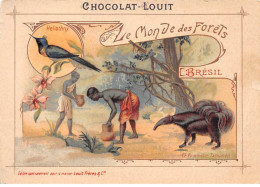 Chromos.AM15300.8x11 Cm Environ.Chocolat Louit.Le Monde Des Forêts.Brésil.Heliothrix.Fourmilier Tamanon - Louit