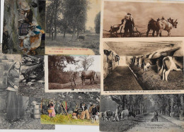 Lot 259 De 10 CPA Divers Métier Campagne Ferme Folklore Déstockage Pour Revendeurs Ou Collectionneurs - 5 - 99 Postcards