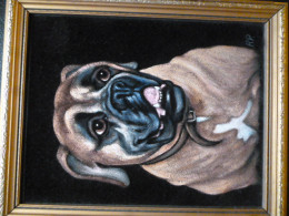 BULL DOG PANTING IN OIL ON BLACK VELVET OF BULL DOG SGNED RP - Huiles