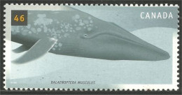 Canada Baleine Bowhead Whale MNH ** Neuf SC (C18-70b) - Whales