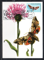 ROMANIA 1985 BUTTERFLIES SMERINTHUS OCELLATUS BUTTERFLY 5L MAXI MAXIMUM CARD - Maximum Cards & Covers