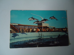 UNITED STATES  POSTCARDS DOLPHINS    MORE  PURHASES 10% DISCOUNT - Delfines