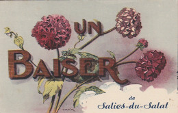 AA+ 40-(31) UN BAISER DE SALIES DU SALAT - CARTE FANTAISIE COLORISEE - FLEURS DALHIAS - Salies-du-Salat