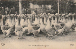 AA+ 93- UNE FAMILLE EN VILLEGIATURE - ELEVAGE D'OIES - Elevage