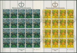 Liechtenstein 1981 Europa Union CEPT Kompletter Bogen 764/65 Gestempelt (C16546) - Blocks & Kleinbögen
