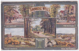 ROYAUME UNI - KENT - TUNBRIDGE WELLS MULTI VUES - THE PANTILES BRIADWATER FOREST - Tunbridge Wells