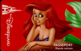 PASSEPORT DISNEY...HAUTE SAISON - Disney Passports